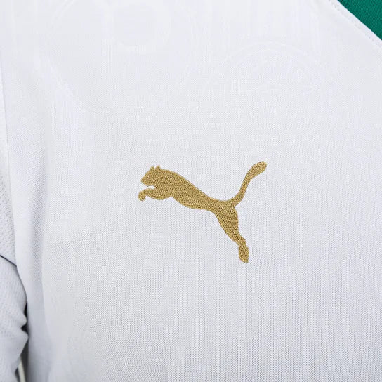Camisa Palmeiras Reserva 24/25 - Torcedor Masculina Lançamento