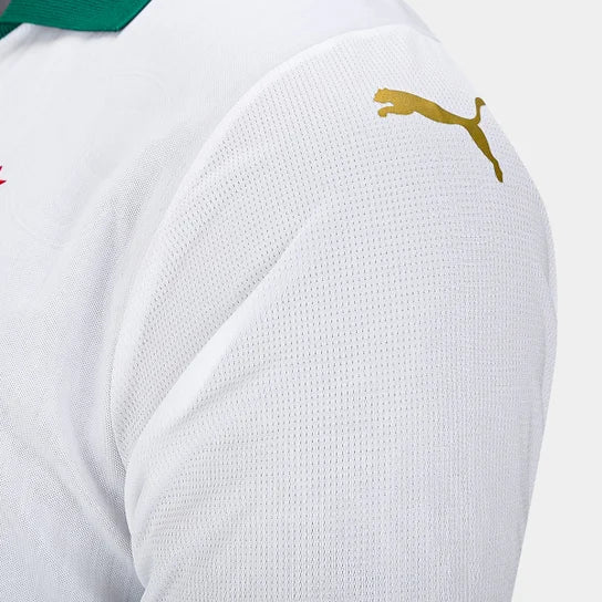 Camisa Palmeiras Reserva 24/25 - Torcedor Masculina Lançamento