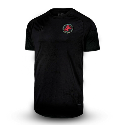Camisa Aston Villa Edição Especial 50 Anos 25/26 - Torcedor Masculina Lançamento